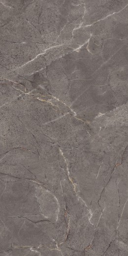 POLTAVA DARK GREY tile